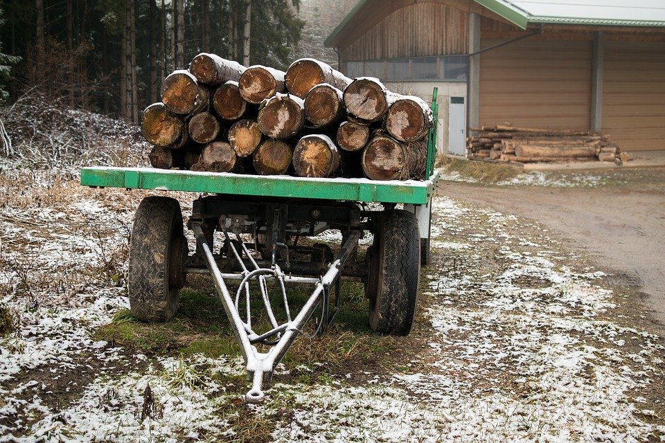 Buy and Sell Wood Trunk